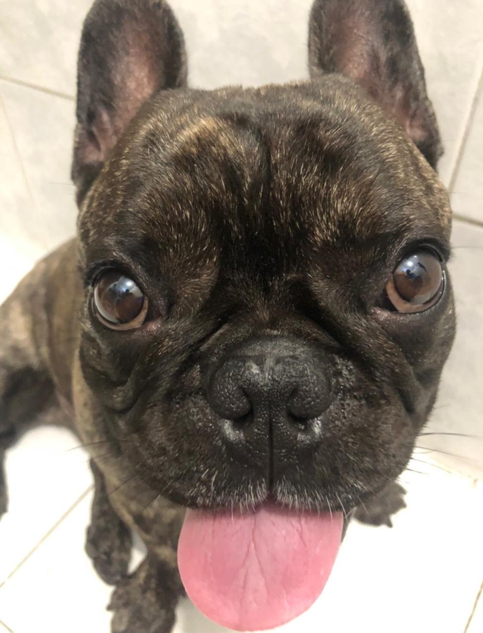 Spike — Blep mode