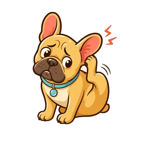 Ear Infections